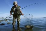 Новости » Общество: В Азовском море возобновился промысел рыбы