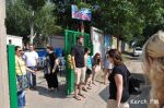 Новости: В Керчи детям бесплатно помогают английские волонтеры