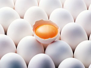 В Крым из Украины не пустили более 200 тыс. просроченных яиц
