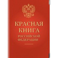 Керчане хранили в лодочном гараже рыбу, занесенную в Красную книгу