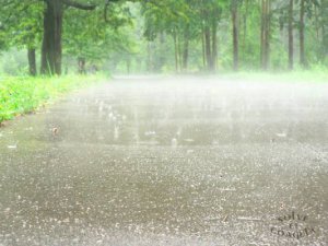 Новости » Общество: В Крыму снова прогнозируют дождь