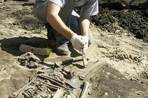 Археологи из Украины примут участие в международной научной конференции в Керчи
