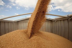 Крым хочет экспортировать зерно в Турцию и Иран, - Полищук