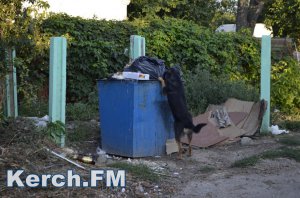 Неизвестные в Керчи забрали забор  с мусорки