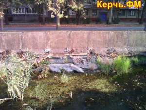 Керченская речка Мелек-Чесме снова заросла травой