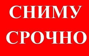 Бизнес новости: Сниму квартиру в КОНСОЛИ