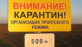 Новости » Общество: На трассе «Новороссийск-Керчь» появился карантинный пост дезинфекции