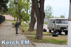 Новости » Общество: В Керчи завтра пройдет субботник