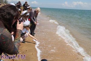 В Крыму из-за жары усилили контроль за качеством пресной и морской воды