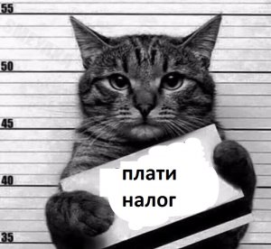 Общественники в Крыму предлагают ввести налог на животных