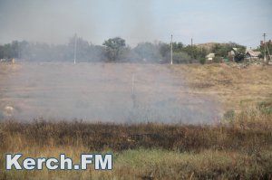 В Крыму с 19 по 26 июня ожидается чрезвычайная пожарная опасность
