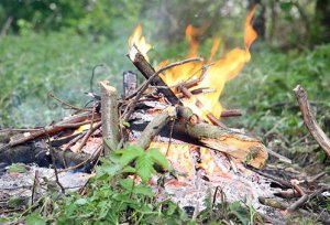 Крымчанам запретили пикники в лесах
