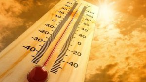 МЧС Крыма сообщает, как вести себя при сильной жаре
