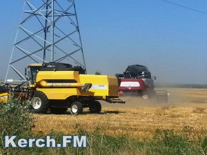 В Крыму убрали почти весь урожай зерна