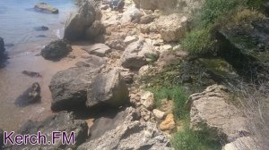 В Крыму из-за жары ухудшилось качество морской воды