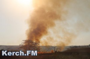 В Керчи до 19 сентября сохранится чрезвычайная пожарная опасность