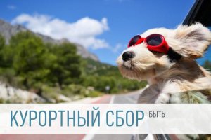 Курортный сбор в Крыму не должен стать обременением для туристов, - ростуризм