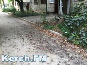 В Керчи двор по улице Нестерова утопает в мусоре