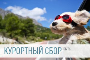 Новости » Общество: В Крыму считают, что курортный сбор для туристов должен быть в пределах 80 руб