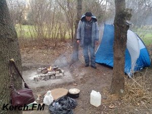 Новости » Общество: В Крыму не осталось действующих приютов для бездомных