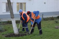 Новости » Общество: В Керчи коммунальные службы озеленили Митридат