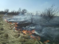 Новости » Общество: В Ленинском районе горела трава в районе заброшенного дома