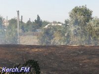 Новости » Общество: В Керчи продолжает гореть сухая трава, пожарным дозвониться – невозможно