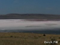 Новости » Общество: Озеро Чокрак под Керчью получило возможность стать туристическим кластером