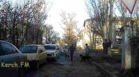 Перед итоговым сочинением выпускников помещение керченской школы проверяли собаки