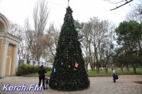В Молодежном парке поставили Новогоднюю елку