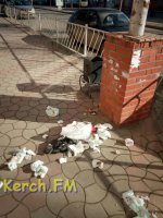 На Пирогова собаки растаскивают мусор, - керчане
