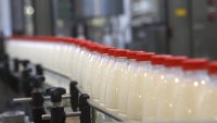 В Россию запрещен ввоз молока из Белоруссии, - Россельхознадзор