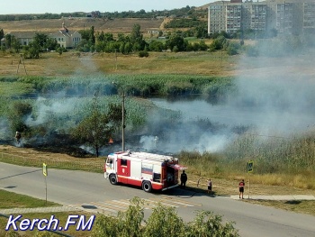 В Керчи сильно горел камыш на озере в районе Ворошилова