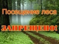 Новости » Общество: В Крыму снова временно запретили посещать леса