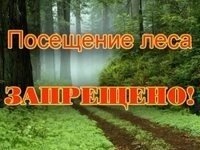 Новости » Общество: В Крыму продлили ограничение на посещение лесов