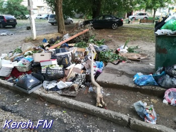 Снова свалка в Аршинцево: люди устали жаловаться