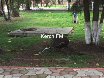 Новости » Общество: Вандалы в центре Керчи сломали несколько прожекторов подсветки