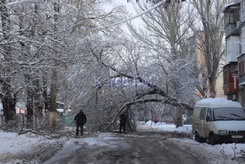 Новости » Криминал и ЧП: В Керчи   улица Толстого оказалась заблокированной и обесточенной  упавшим  на провода деревом