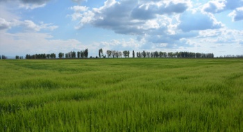 Аграрии Крыма в прошлом году ввели в оборот почти 30 тыс гектаров земель сельхозназначения