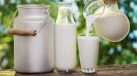 Крым возглавил рейтинг субъектов России по росту производства молока