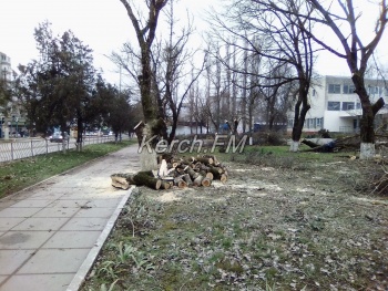 В Керчи около техникума на «Институте» пилят деревья