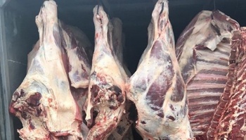 В Крыму изъяли почти 10 тонн «подозрительной» говядины из Краснодара
