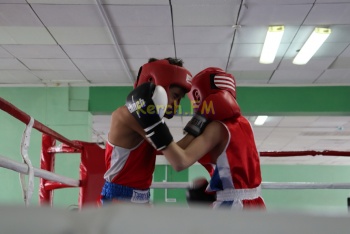 Более 100 спортсменов приняли участие в турнире по боксу в Керчи
