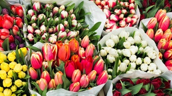 Внимание! Выгодные предложение для организаций на цветы к 8-му марта!
