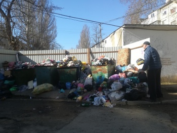 Новости » Общество: Аршинцево снова завалено мусором