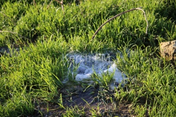 Новости » Общество: В Аджимушкае произошел прорыв водовода