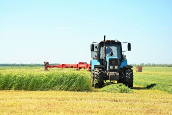 Животноводческие хозяйства Крыма заготовят 100 тыс тонн кормов