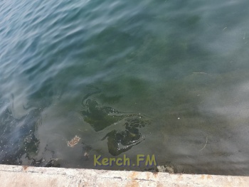 Море на набережной Керчи покрыто масленичной пленкой