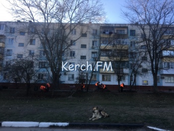 Новости » Общество: В Керчи коммунальщики убирают опавшие листья