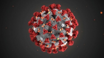 Семь шагов по профилактике коронавирусной инфекции